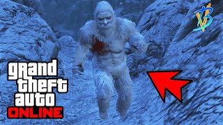 CHASSE AU YETI SUR GTA ONLINE  TOUS LES EMPLACEMENTS DES INDICES POUR LA TENUE [upl. by Anemaj]