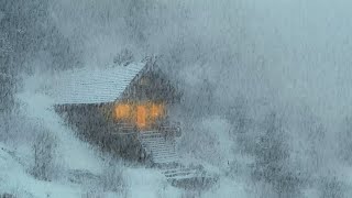 Blasting Wind Sounds for Deep Sleep  Cold Atmosphere of a Northern Snowstorm  White Noise [upl. by Hastings321]