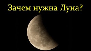 ⚫🟡 Шевченко В Что будет с Луной в Будущем Video ReMastered [upl. by Adien]