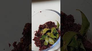 Beetroot chutney recipe so yummyfood beetroot chutney music bollywood song viralsong [upl. by Bramwell963]