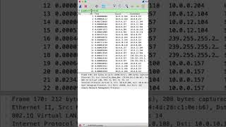 Wireshark  IP Address Filter [upl. by Boj]