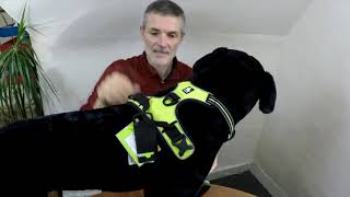 Truelove No Pull Dog Harness Review TLH5651 Includes Uses and Fitting [upl. by Einner]