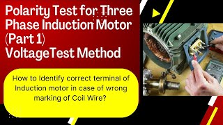 Polarity Test of 3 Phase Induction Motor  Correct Identification of Motor Terminal  Part1 [upl. by Lemak]