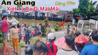 An Giang lại CĂNG ông lão 62T xiệt cá ra đi mãi mãi chỉ vì vài chục ngàn mưu sinh [upl. by Jacquie]