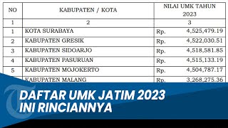 Daftar Lengkap UMK Jatim 2023 Ini Rinciannya [upl. by Bittencourt]