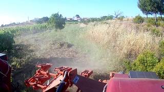 CASE IH 3230 amp ESCARIFICADOR GALUCHO work in the vineyard [upl. by Osborne]