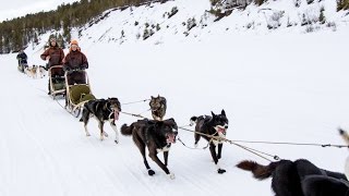 360 Degrees  Engholm Husky  6 Day Dog Sledding Round Trip  Karasjok Norway [upl. by Winny]