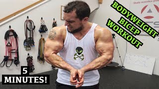 Intense 5 Minute At Home Bicep Workout 2 [upl. by Fillbert328]