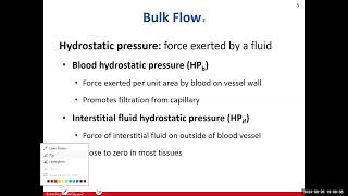 Day 9 BIO 211 720 Lecture FA2024 Circulatory System [upl. by Nickles]