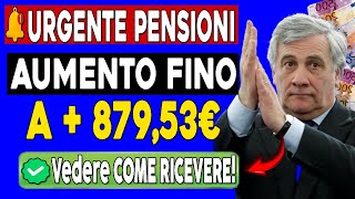 🚨APPROVATO OGGI BONUS DI 8753€ Per PENSIONI MINIME E INVALIDITÀ  Data di pagamento [upl. by Adnamma]