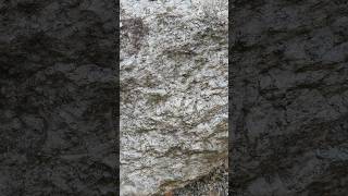 Examples of Metamorphic Rocks [upl. by Acinonrev]