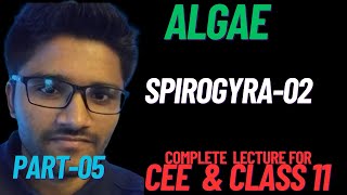 ALGAE05  SPIROGYRA 02  CEE  CLASS 11 NEB BIOLOGY  NEPAL  ENTRANCE  SUNIL ADHIKARI [upl. by Alegnaoj240]