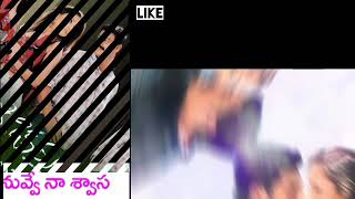 Nuvve Naa swasa song okariki okaru movie beautiful telugu songs by lakshmi [upl. by Rourke261]