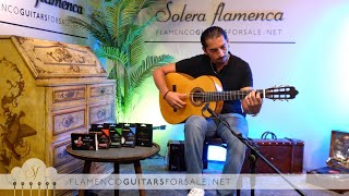 José Salinas 2024 flamenco guitar for sale played by José Andrés Cortés [upl. by Annaeed]