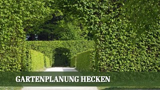 Gartenplanung Hecke  Wie finde ich meine Lieblingshecke [upl. by Alyhs]