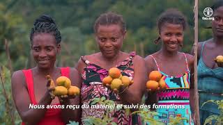 Success stories des jeunes entrepreneurs dans les chaines de valeur agricoles en Afrique centrale [upl. by Troyes]