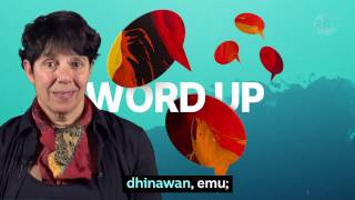 Learn words in the Gamilaraay language of NSW and Queensland [upl. by Adrianna]