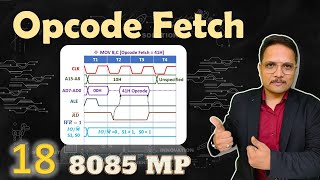 Opcode Fetch Timing Diagram in 8085 Microprocessor  MOV Instruction Timing Diagram [upl. by Olrac454]