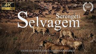 SERENGETI SELVAGEM  Vida Selvagem na Savana Africana  Documentário Animais Selvagens [upl. by Soisinoid442]