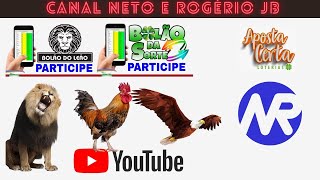 RESULTADO AO VIVO ROGERIO E NETO JB  FEDERAL  21112024 [upl. by Idoux]