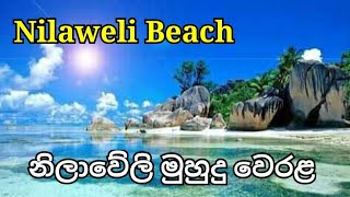 Nilaweli beach sri lanka  නිලාවේලි මුහුදු වෙරළ  nilaweli beach trincomalee  marble beach  beach [upl. by Narod]