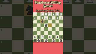 Smothered Mate Blackburne Shilling Gambit [upl. by Howey]