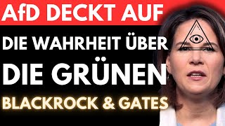 AfD enthüllt und warnt quotBAERBOCK und CO sind nur Marionettenquot 🚨 Der WAHNSINN zeigt sein GESICHT [upl. by Beore]