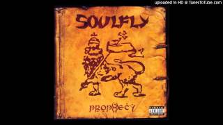 Soulfly  Prophecy Slowed 25 to 33 13 RPM [upl. by Anatak]