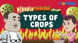 Agricultural Practices  Types and Protection of Crops  Class 8th [upl. by Ytsenoh83]