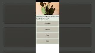 Which plant is family member of family cactaceae [upl. by Killen]