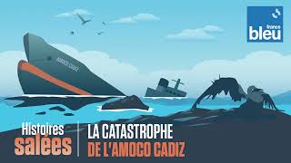 La catastrophe de lAmoco Cadiz  Histoires Salées [upl. by Naejamron]