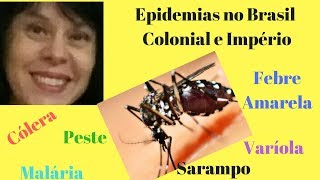 Epidemias no Brasil [upl. by Lavro228]