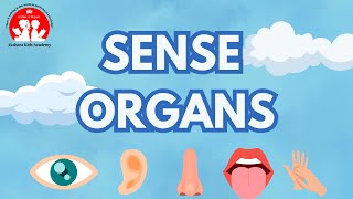 Sense Organs for Kids Learning [upl. by Eceirahs]