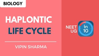 Haplontic Life Cycle  NEET Biology  NEET UG in 10 [upl. by Isolde]