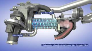 BorgWarner EGR System for Passenger Vehicle Applications [upl. by Dosia]