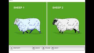 How Dolly the Sheep was cloned [upl. by Davenport]