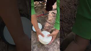 Rubber latex💭 rubberfarming rubberwood rubbertapping rubbersap satisfying rubber bushcraft [upl. by Trace]