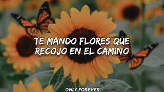 Fonseca  Te mando flores Letra [upl. by Lrad]