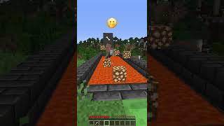 Why He Was Scared of Chase meme shorts minecraft [upl. by Annairam]