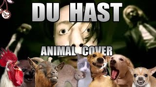 Rammstein  Du Hast Animal Cover [upl. by Morrell]