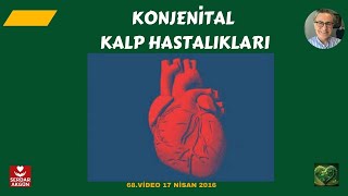 Konjenital Kalp Hastalıkları I temel kavramlar [upl. by Allekram]