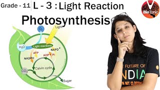 L 3 Photosynthesis in Higher Plants  Class 11 Biology  NEET 2020  AIIMS  Vaani Maam VBiotonic [upl. by Cheney]