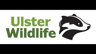 An introduction from Ulster Wildlifes new CEO Dawn Miskelly [upl. by Ut]