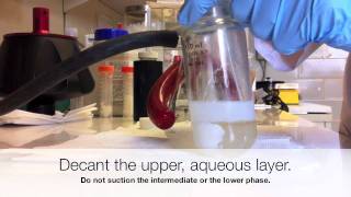 Extraction of E coli K1 Capsular Polysaccharides [upl. by Bambi]