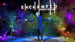 Enchanted Forest of Light at Descanso Gardens  Vlogmas Day 13 [upl. by Omura]