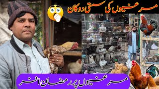 Asli Desi Murgi Per RAMAZAN OFFER  Pure Desi Murgi  Ando Wali Murgi  Murga Mandi  Cheap Prices [upl. by Latea]