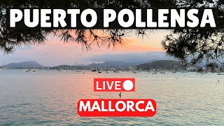 🔴LIVE in Puerto Pollensa Mallorca Majorca  4 August 2024 [upl. by Marve240]