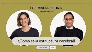 ¿Cómo es la estructura cerebral 🧠  Dr Eduardo Calixto y Luz María Zetina [upl. by Vin]