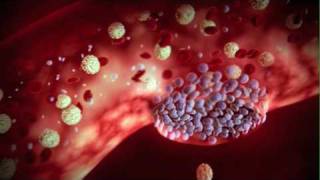 The Role of Proteins in Blood Clotting [upl. by Sirtemed776]