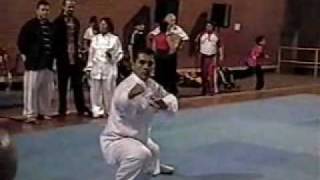 陳式太極拳 Taiji Chen Style 28 Form 2005 [upl. by Eidnim]